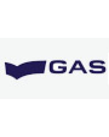 Logo of GAS