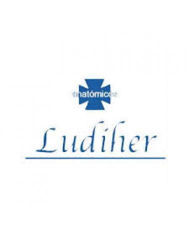 Logo of LUDIHER